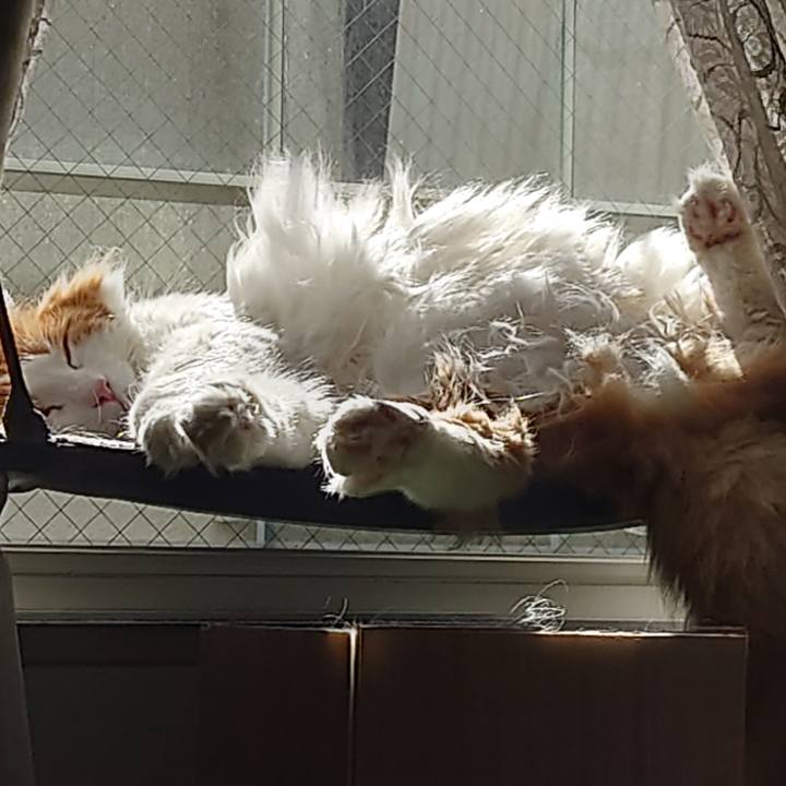 Ee962def 6e56 46bf 8373 53ffa5f0b71c 1636516928244