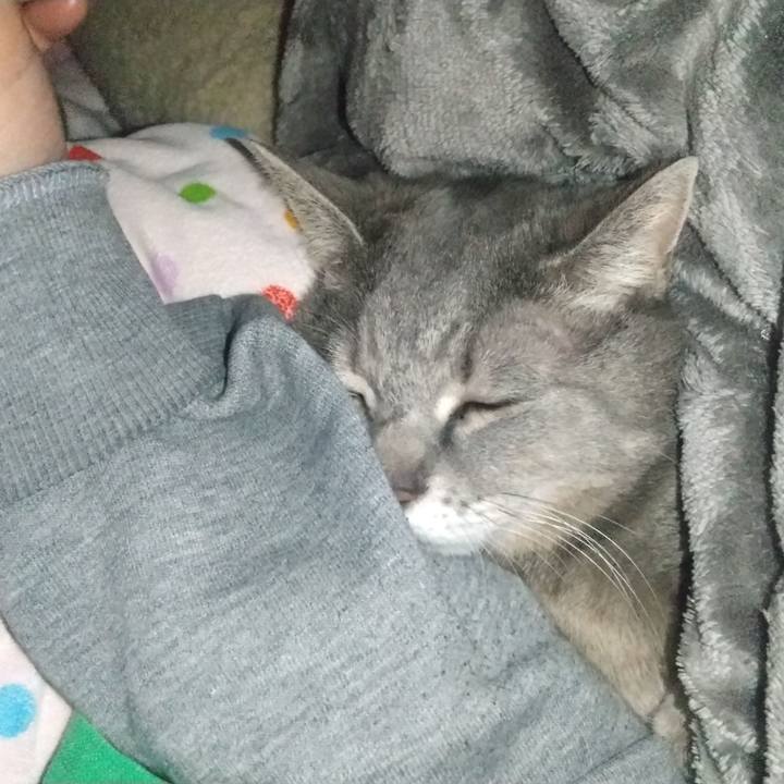 Ee962f34 c920 4b48 a6e4 7f3861017ed9 1642086143388