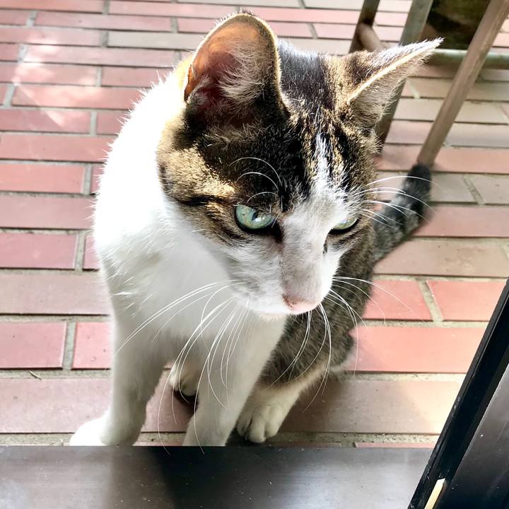 Ee96ad5f 71b1 42ab 84f7 76cbc8dc380d 1569110061790