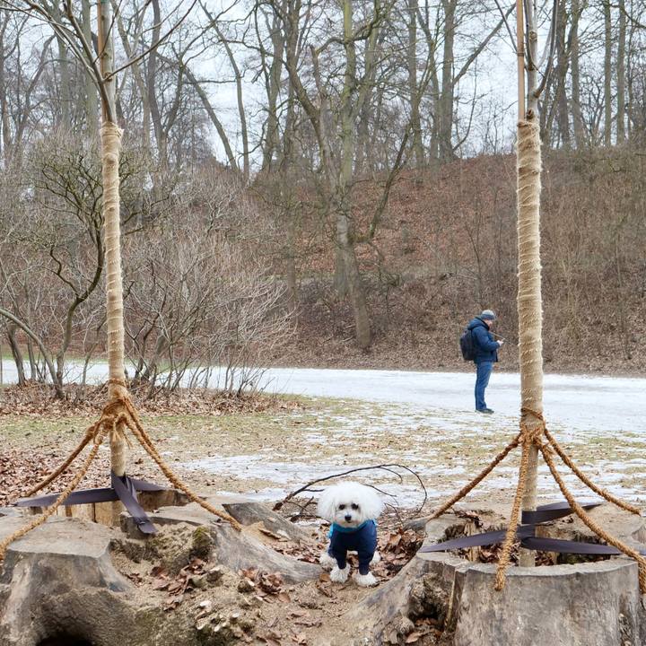 Ee970b81 4420 41bf b217 0400f86ea62e 1769902921660