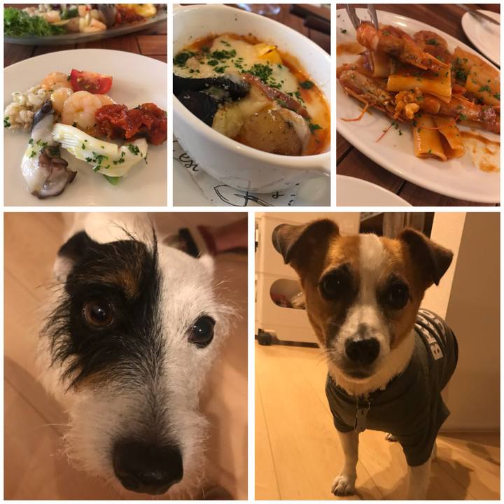 Ee97320c 9260 47bd b991 37805661784c 1532171254869