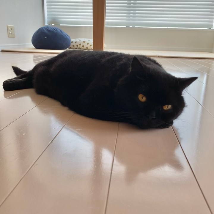 Ee97433d 3856 4f04 941e f1d183cfd61b 1718783300396