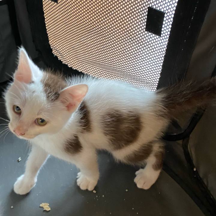 Ee9747bb 03ac 46d7 8570 6ec7c466d3cd 1686642779684