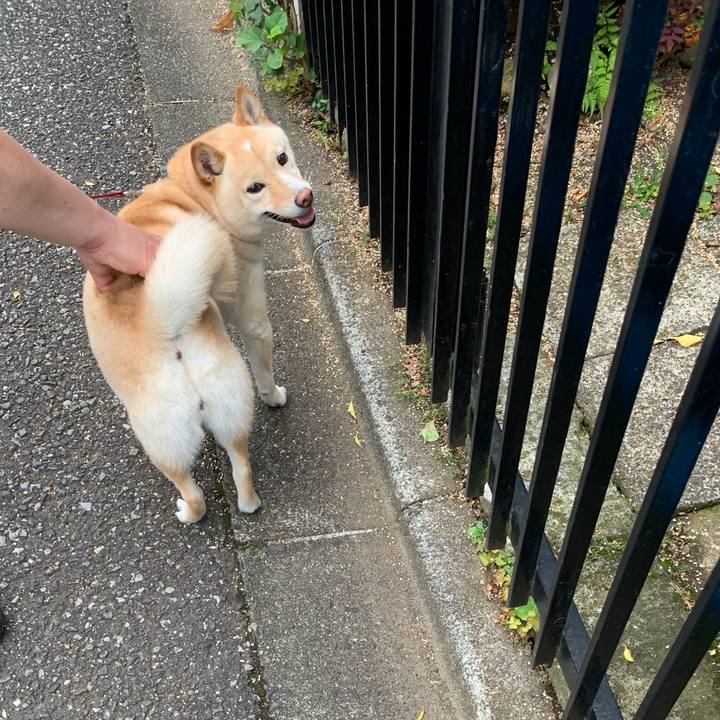 Ee974f24 ca71 40a1 b2ae cd2001578c84 1623711995597