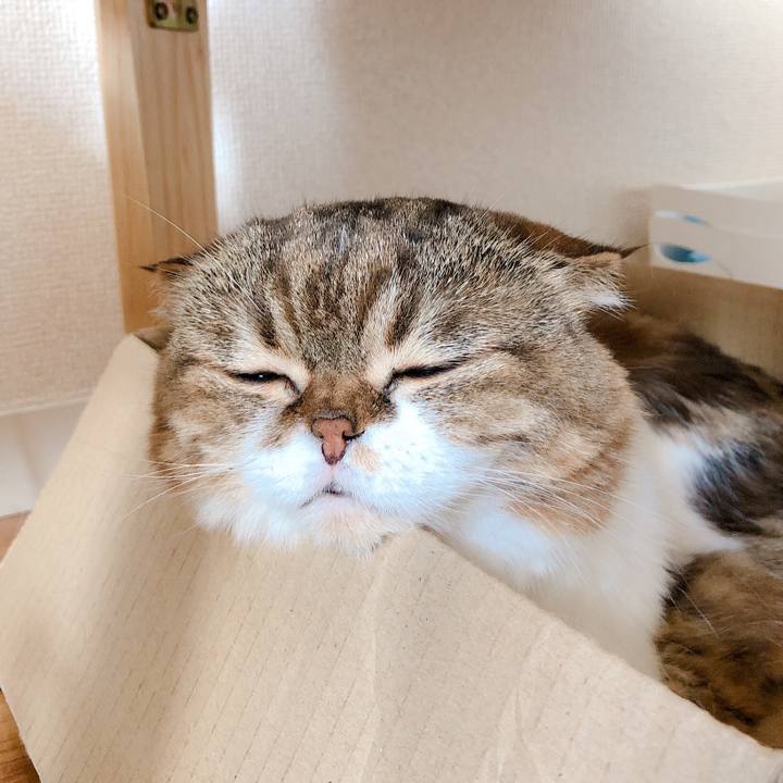 Ee977df9 bb55 4c2a 98d6 1f205ae06542 1565669807981