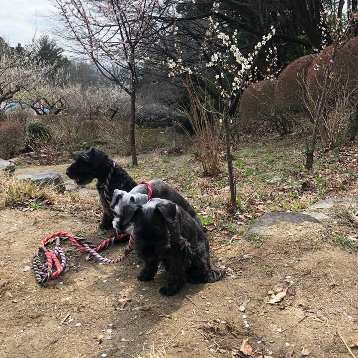 Ee97acd3 a58c 4f14 a1f0 009cc402702e 1521352198659