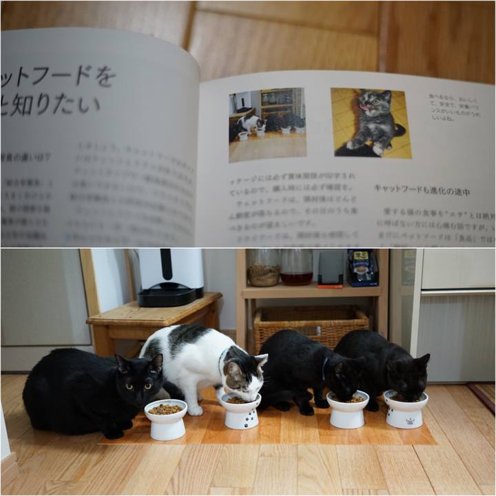 Ee97cd6b e926 47c9 8791 d882f6429c96 1525736273316