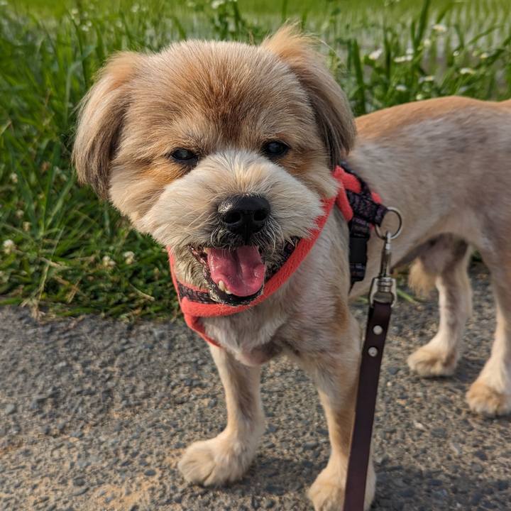 Ee980fec e6ff 451d 9746 49ff17fc5b4c 1687081482585