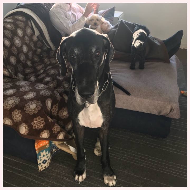 Ee985d27 60be 4a78 b991 ba7964cd56a6 1514415732366