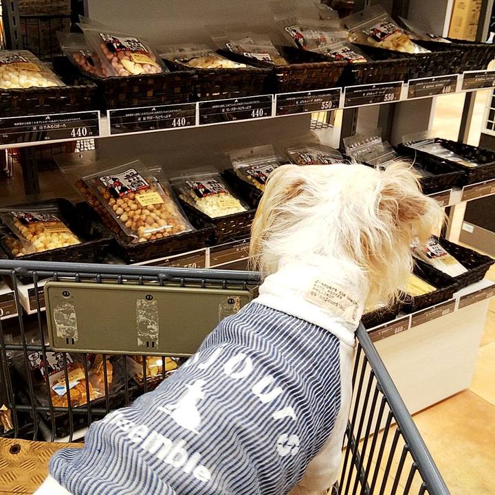 Ee98686f e7ad 498d 8a15 2ae380c4710b 1576929824418