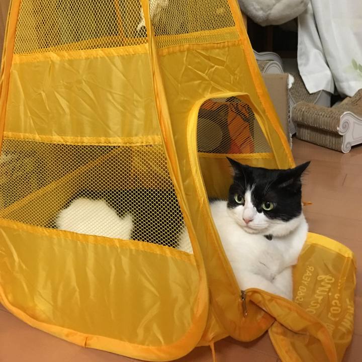 Ee987480 95da 4909 9a43 a309950aed35 1566821493335