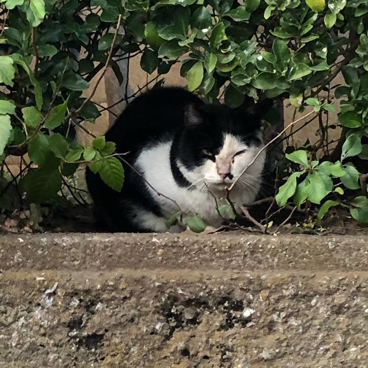 Ee98d908 b959 47ff b384 59f2e90830c5 1544461256852