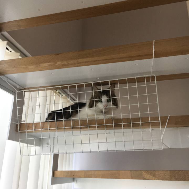 Ee99079b e035 46c9 80f2 b53adc8e9864 1537142765700