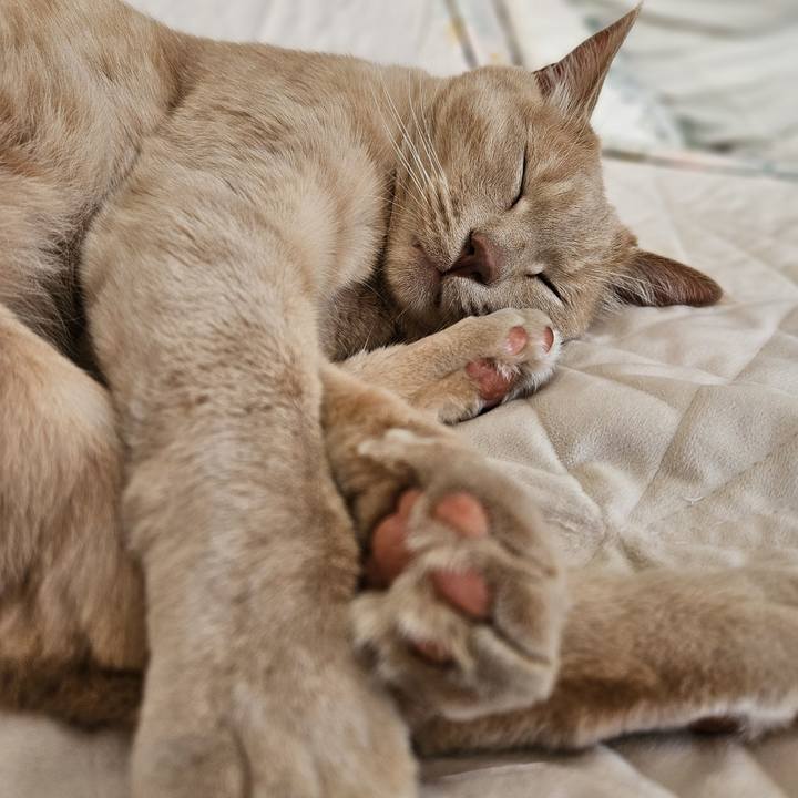 Ee9915c9 e39b 4986 a982 8f2296bd281a 1717223283489