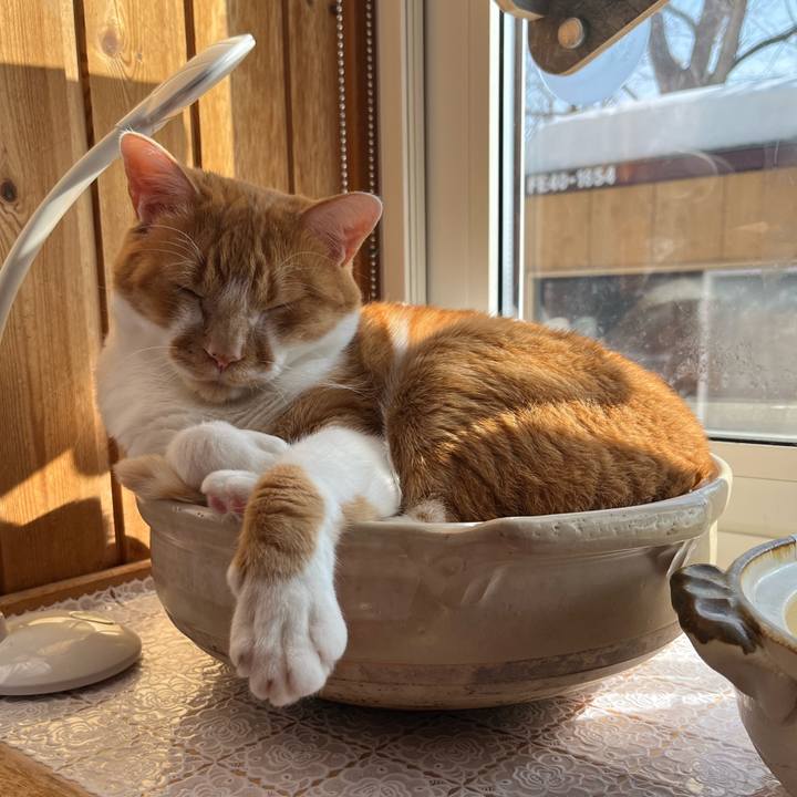 Ee9981e9 2712 4750 93dd b63a0367deb6 1739845418168