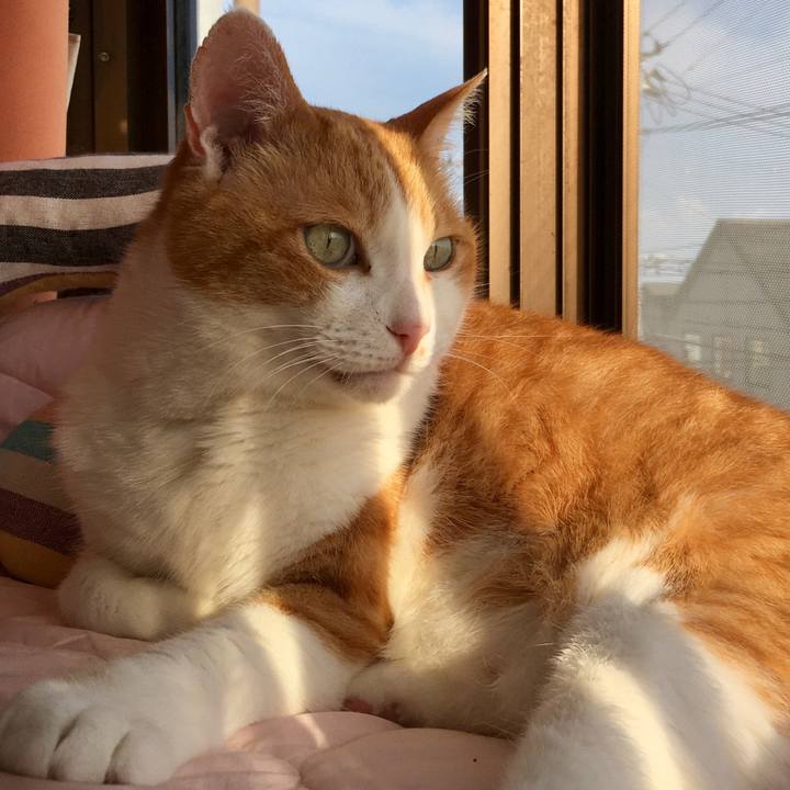 Ee999eea 0451 4a77 921d 369cf9e96d8e 1590995529989