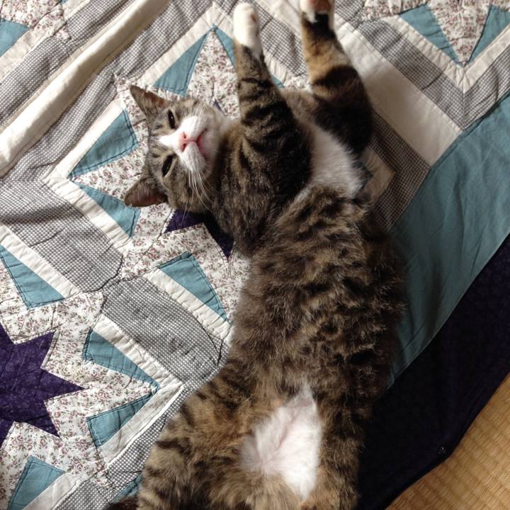 Ee99b337 b3c6 4e56 9f7e fc78ef29b4b3 1521503227300