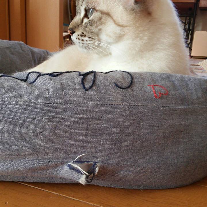 Ee99ba6d 73b3 4b4c 86bb ad84d965389b 1507595207265