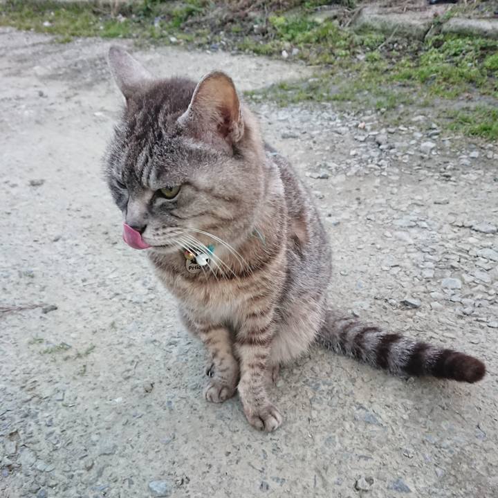 Ee99c58d d8fd 4028 a012 b4eea90747a2 1553157565871