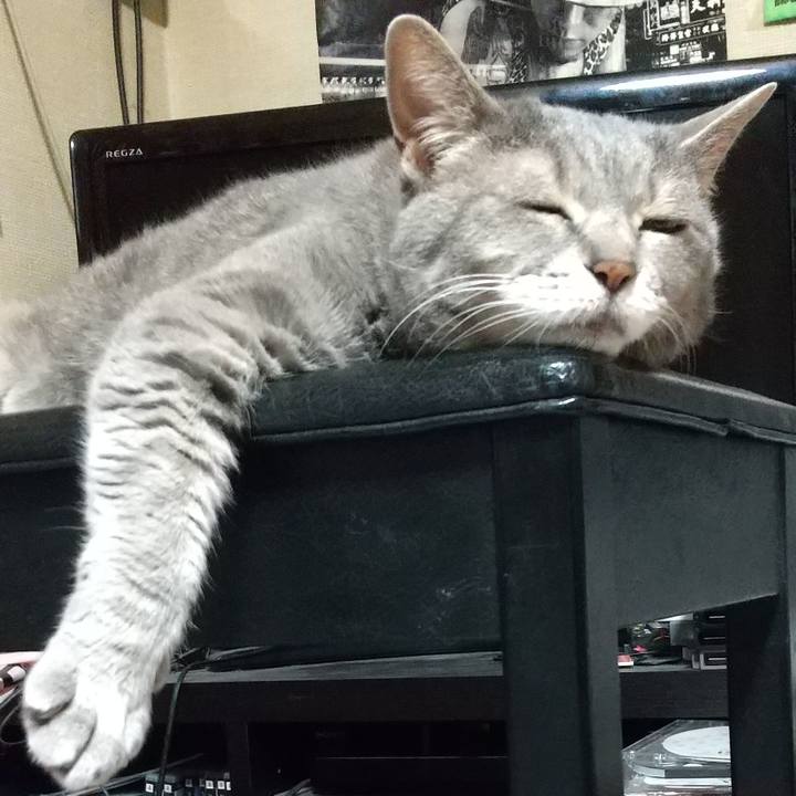 Ee99f617 4ff4 48e7 a031 f1e8acee9cdb 1657378660518