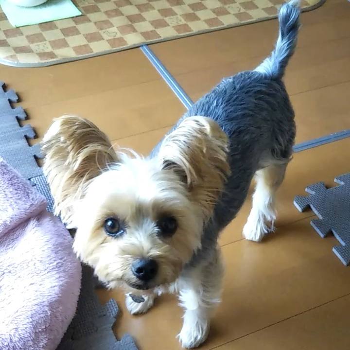 Ee9a51d4 a87b 467b 9485 e494987a1144 1636264400500