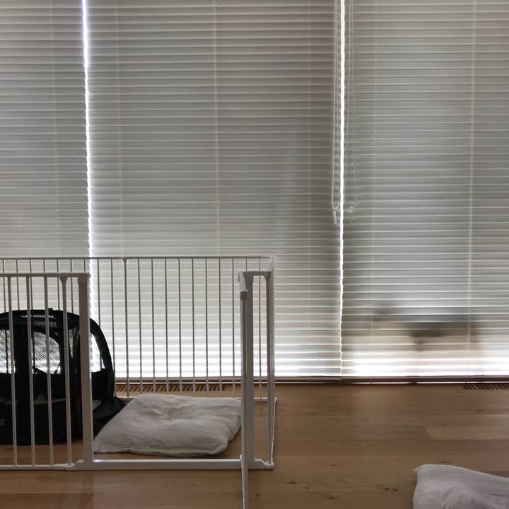 Ee9a8656 8d24 4b3d bd48 6a87e8b5ea6f 1566358827951