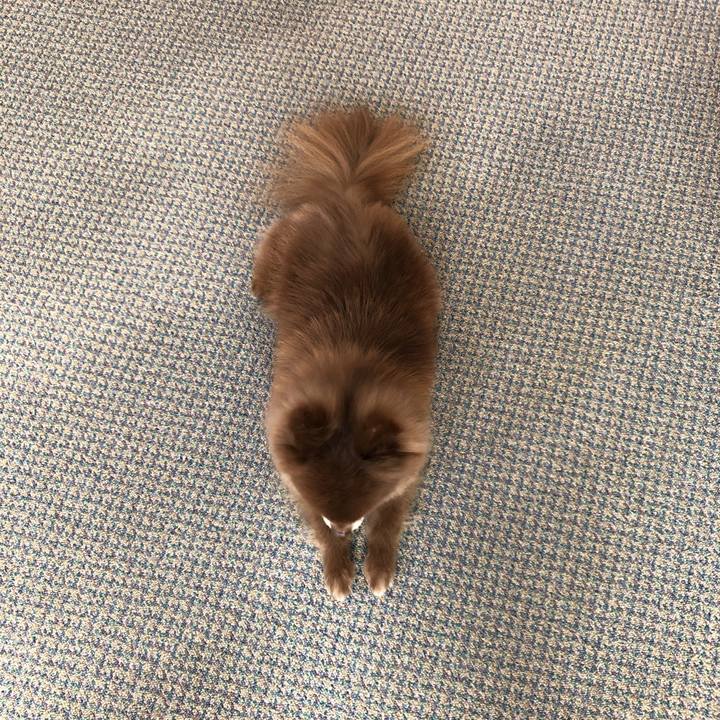 Ee9ad839 ce03 4511 bb77 81a096e2ba19 1557618574000