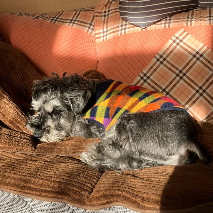 Ee9ae15a b315 4870 8b0f 494e72ba3337 1732456899584