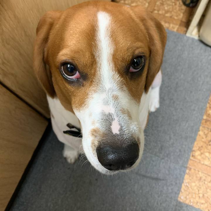 Ee9af395 1152 4590 bb83 46c4f7d22e2d 1571721294014