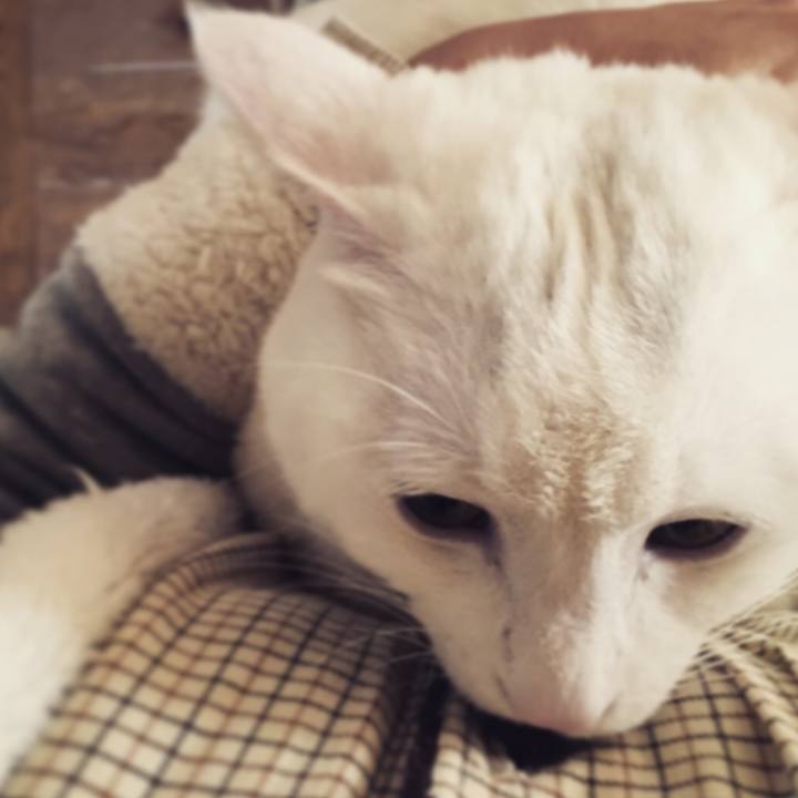 Ee9b5bc5 89de 4e62 bbb4 e489a107019a 1521846156673