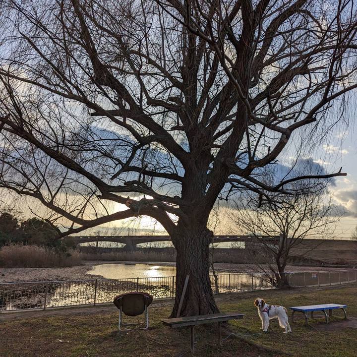 Ee9b896c 58f2 49ff 8393 91f1da6ad7ad 1676363136226