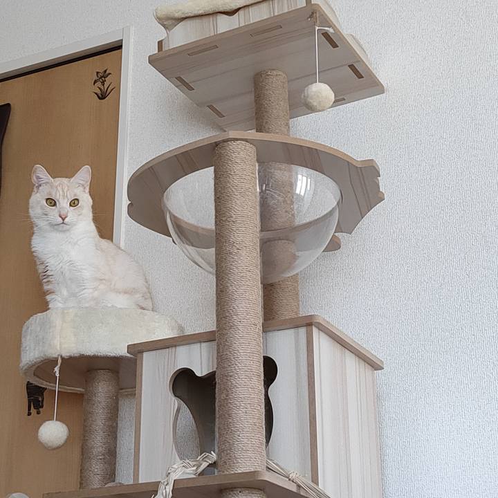 Ee9b9ce3 3dc6 44b9 a51a 0d4682d214f7 1679981569074