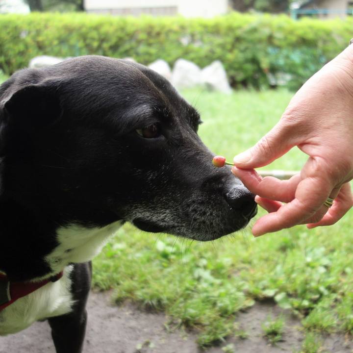 Ee9ba2e2 9b62 410f ac11 316d86ad4320 1684542657933