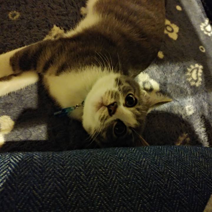 Ee9bbd38 fdfd 4e7c 9c04 33ad26f2246b 1565346402367