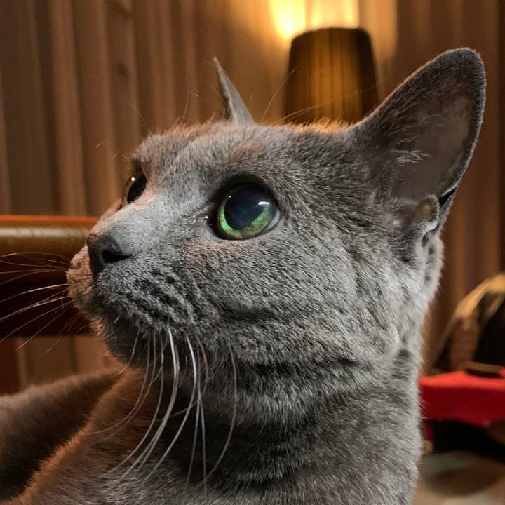 Ee9bd21e 3d9e 4474 a10f dc8b388f97e5 1642843596462