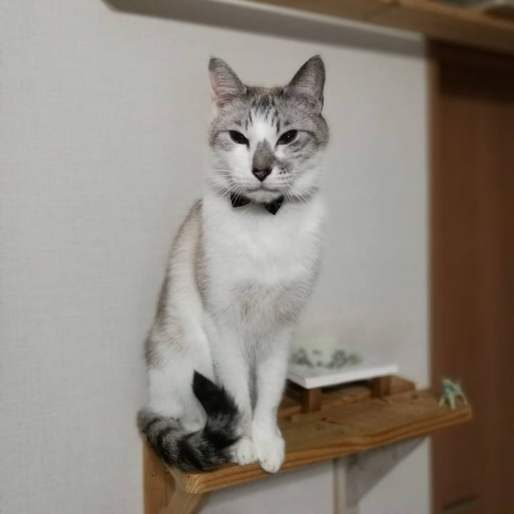 Ee9c18c8 ed81 4150 b737 f3b75a6f5847 1523711185545