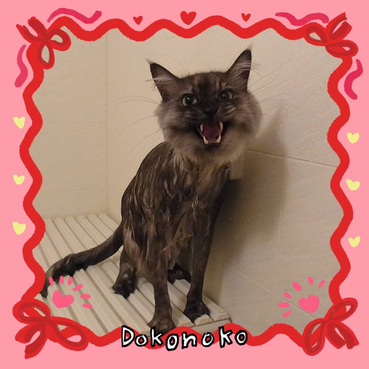 Ee9c1935 258a 4e9e b9c8 7b69aee593c6 1707222871601