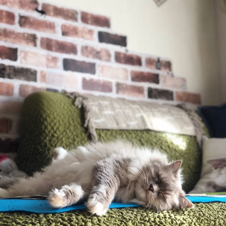 Ee9c7507 df9a 4bd6 9b55 03a51276c1fc 1573378827026