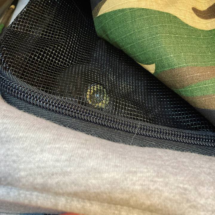 Ee9cedbf 93a3 42a9 9c5c eb4d4ca08310 1615174949754