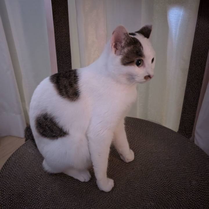 Ee9cf3f2 c293 4f25 a14d 483bc5e918d0 1721538113880