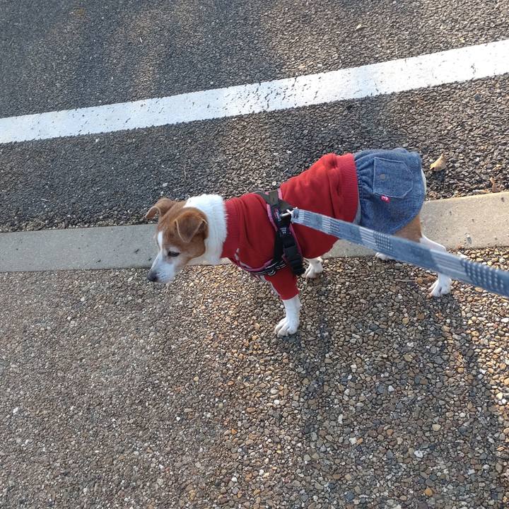 Ee9cf6f3 f47b 4197 a179 73c7c9b65764 1770945765679