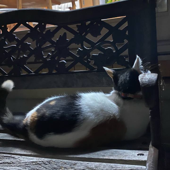 Ee9d054f 2320 45b1 ada6 db007df3a769 1635419795250