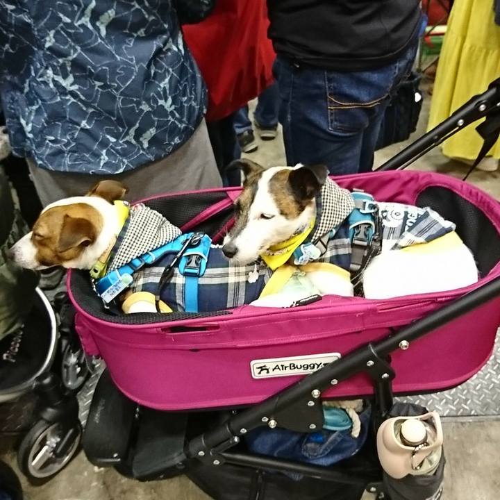 Ee9d127d 0566 44c2 877e 1d13414d8320 1553990251788