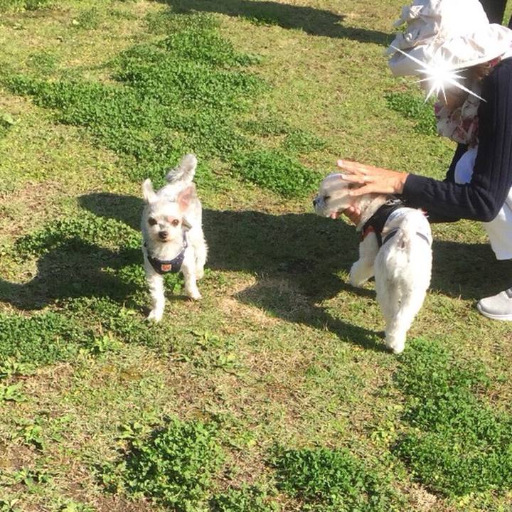 Ee9d1a8f 5e55 4e0f bde1 d40f6f39d60d 1509364091782