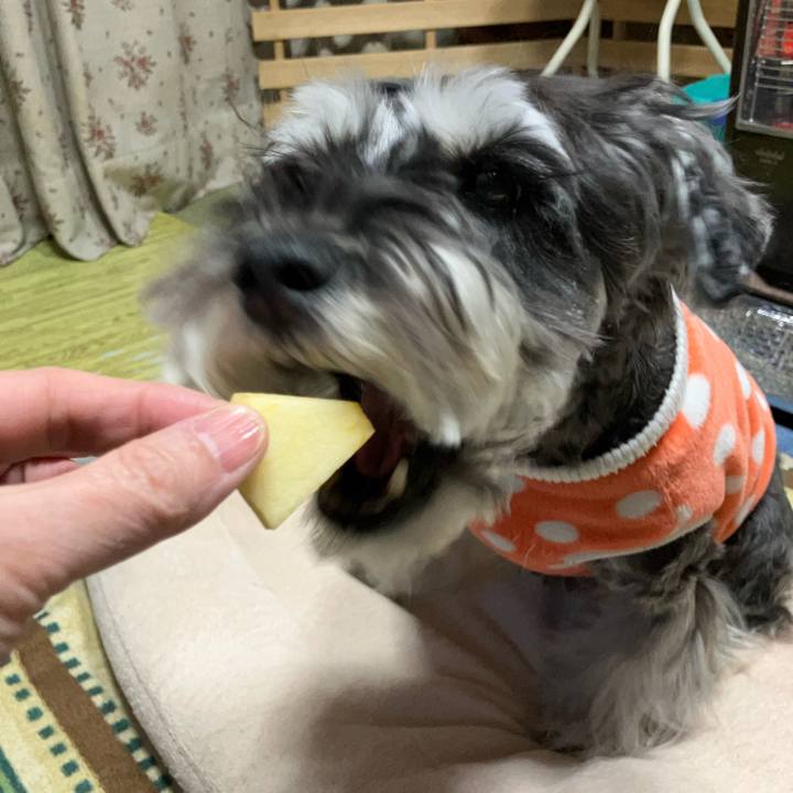 Ee9d2639 9a8f 4325 9a3a 3b64bc087257 1739071026068