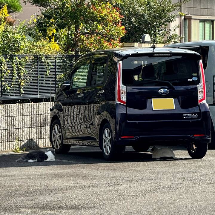 Ee9d2c89 705f 4a55 8b03 591f09393d1e 1760938378178