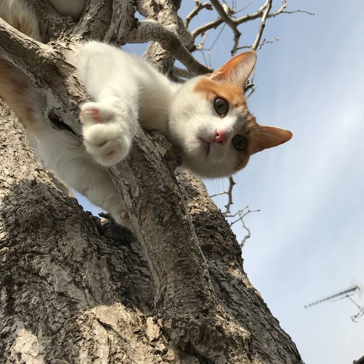 Ee9d5301 413e 4b15 919e 133ea2a3cf98 1518232845183