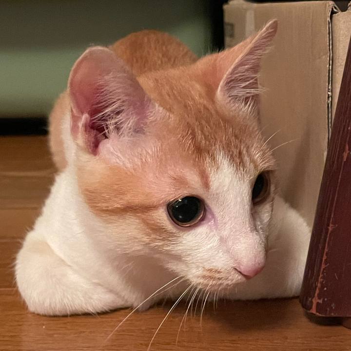 Ee9d62f9 8b5b 43bd 9b57 4d588388ebd9 1700737607622