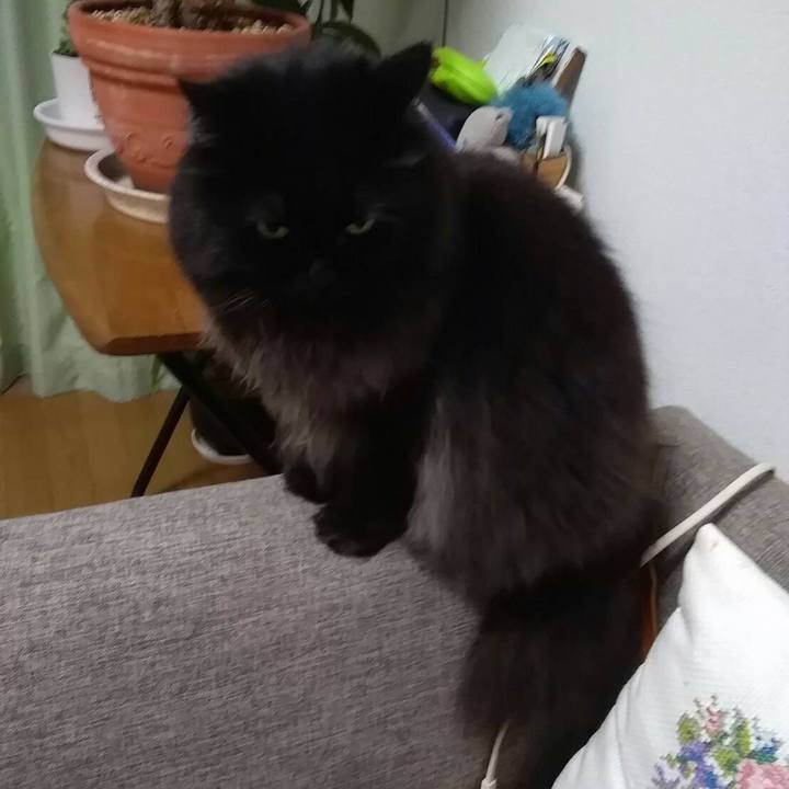 Ee9d75a1 290c 4c40 ba73 5e7db7727790 1511605140125