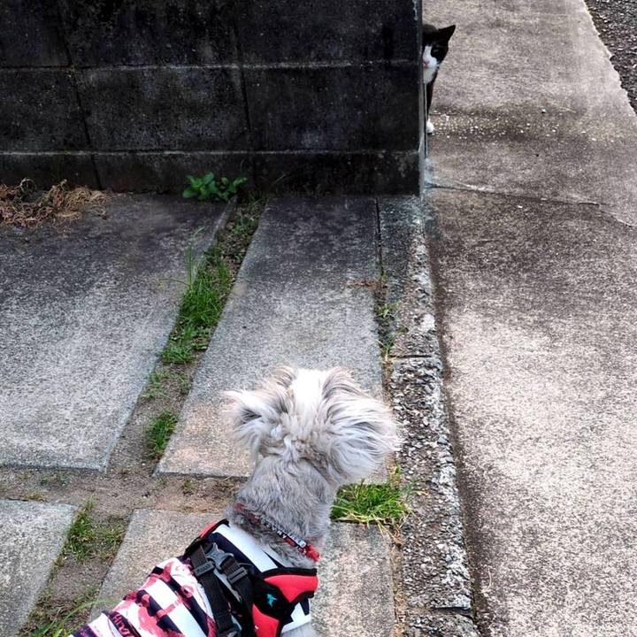 Ee9d7d2d 0774 483e ab73 45da4b99e031 1751614651341